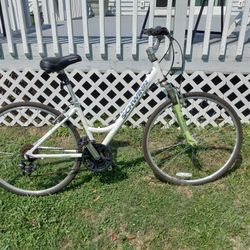 schwinn multi speed cruiser