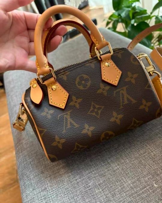 Louis Vuitton Speedy Chip Model