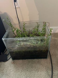Fish tank