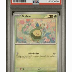 🌟 PSA 9 Budew – Master Ball Pattern – Pokémon 151 – Graded Mint 🌟 