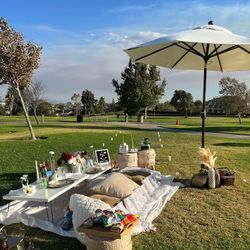 Picnic Settings