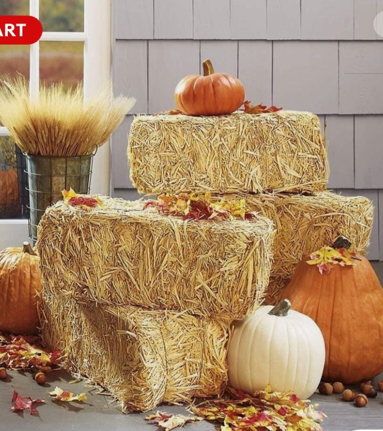 Hay Bales And Corn Stalk