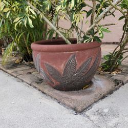 16 Inch Terracotta Pot