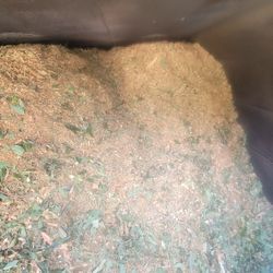 Free Mulch