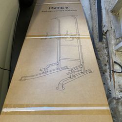 Pull Up Bar And Dio Station 