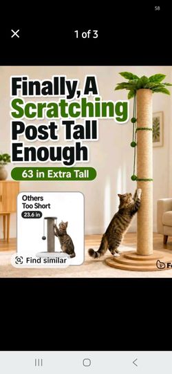 Cat scratcher