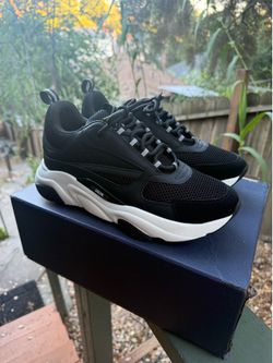Dior B22