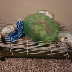 Guinea Pig Cage - Accessories