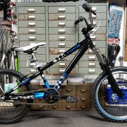 TREK Aluminum DJish-Chopper-Style-Mullet Bike ¿ - 20" Wheels