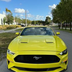 2021 FORD MUSTANG ECO PREMIUM