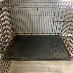 Kennel with bed