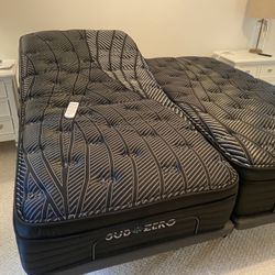 Fully Loaded Twin XL Adjustable Bases