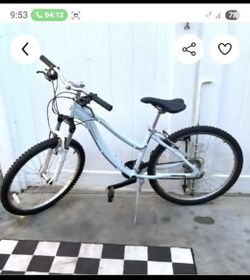 Marin 21 Speed bike