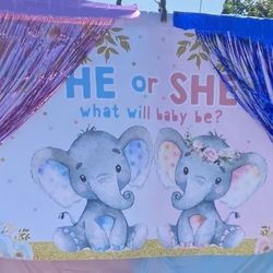 Baby Gender Announcement  Backdrop