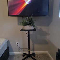 40" Vizio w/ Stand