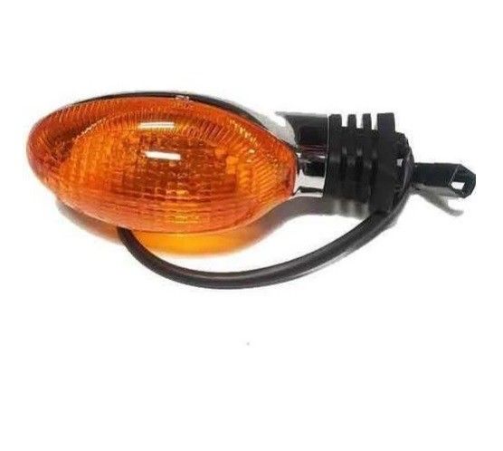 Polaris Turn Signal