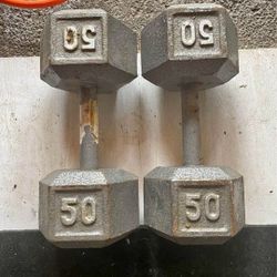 50 Lb Dumbbells 