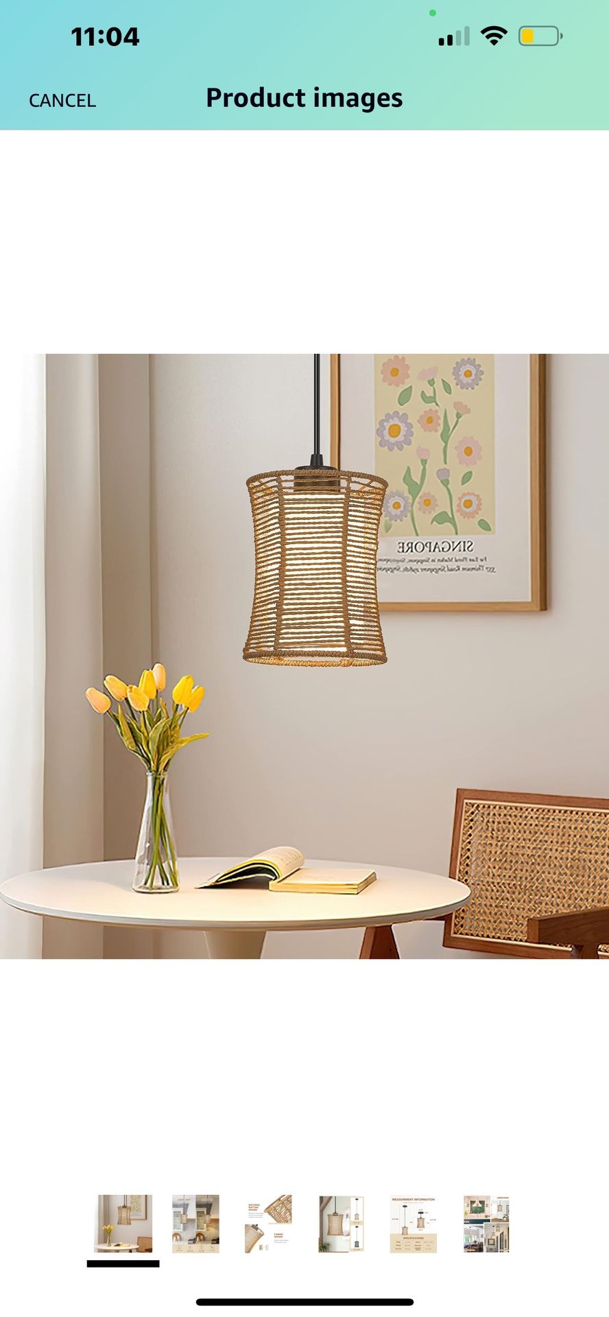 Emak Rattan Woven/lighting Single Light Fixure