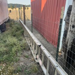 48ft Extension Ladder