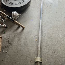 4 44lbs Weider Olympic Plates And 45 Lb Straight Bar for Sale in