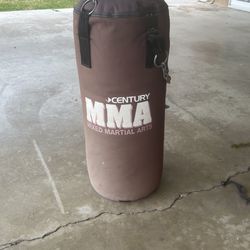 MMA / Boxing Training Bag