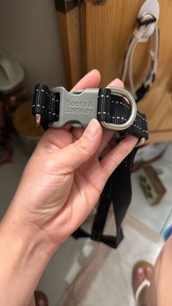 Dog harness