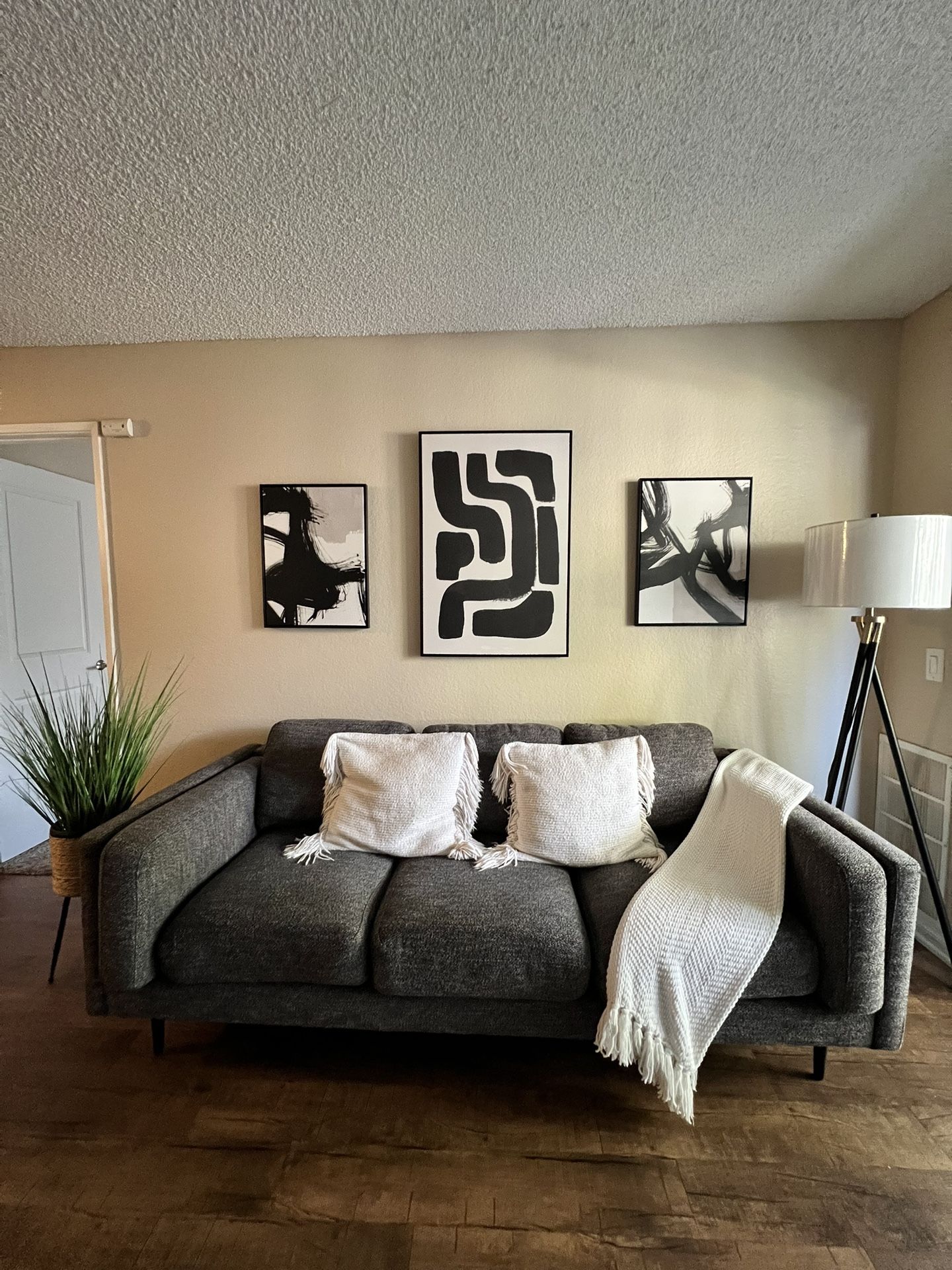Gray Sofa