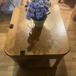 Artique Hardwood Coffee Table