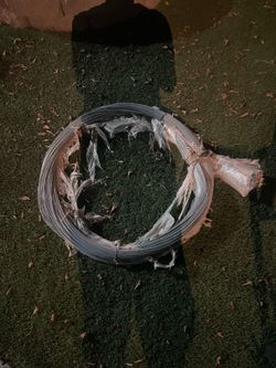 Galvanized steel wire