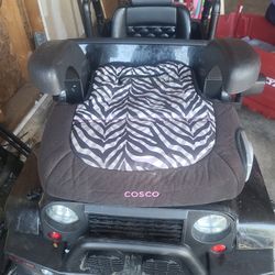 Booster Seat 