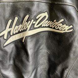 Harley Davidson Leather Jacket