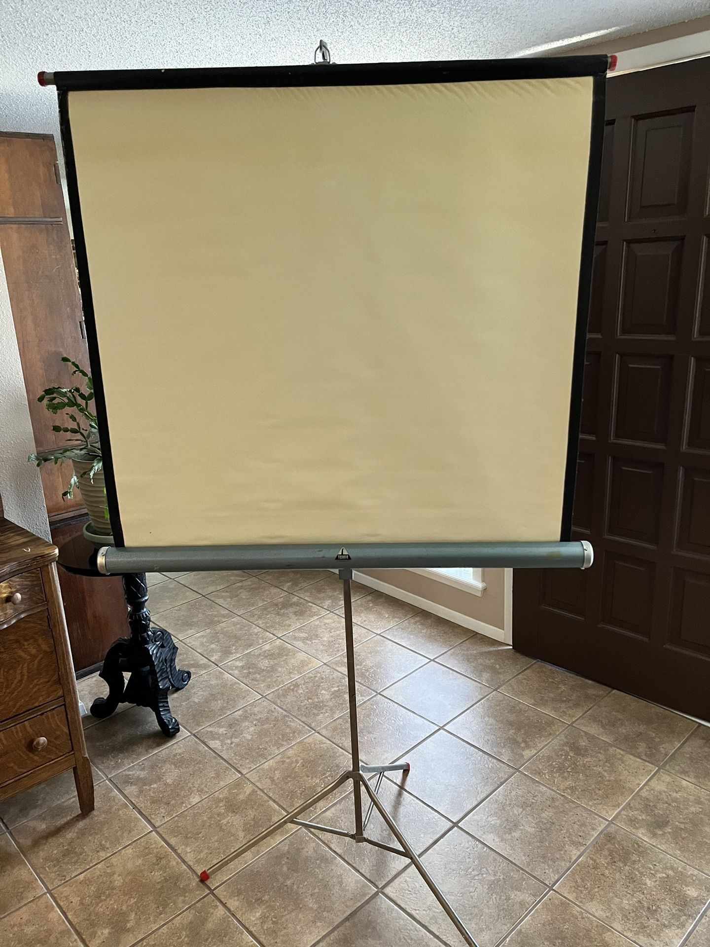 Vintage 30” x 40” Collapsible Projector Screen