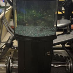 Curved Fish Tank And Stand