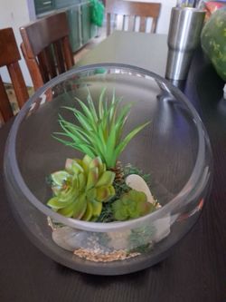 succulent glass terrarium