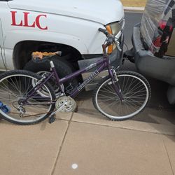 Diamondback Mountain Bike