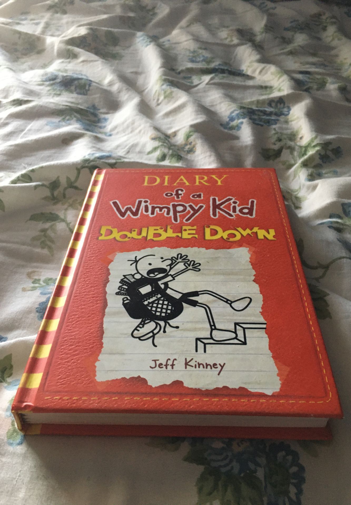 Diary of a wimpy kid: Double Down Book #11