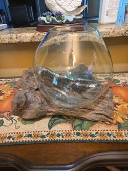 Glass Bowl Vase on Driftwood Base