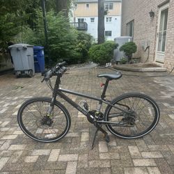 REI COOP BIKE size 20 