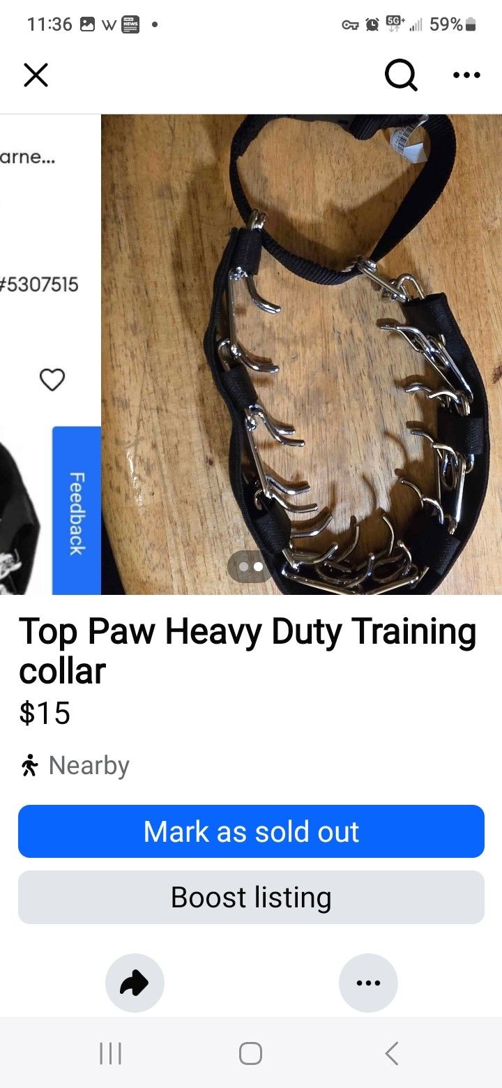 Dog Training Collar