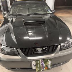 2002 Mustang GT Hood and Spoiler