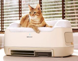 New pet air purifier/scratch bed