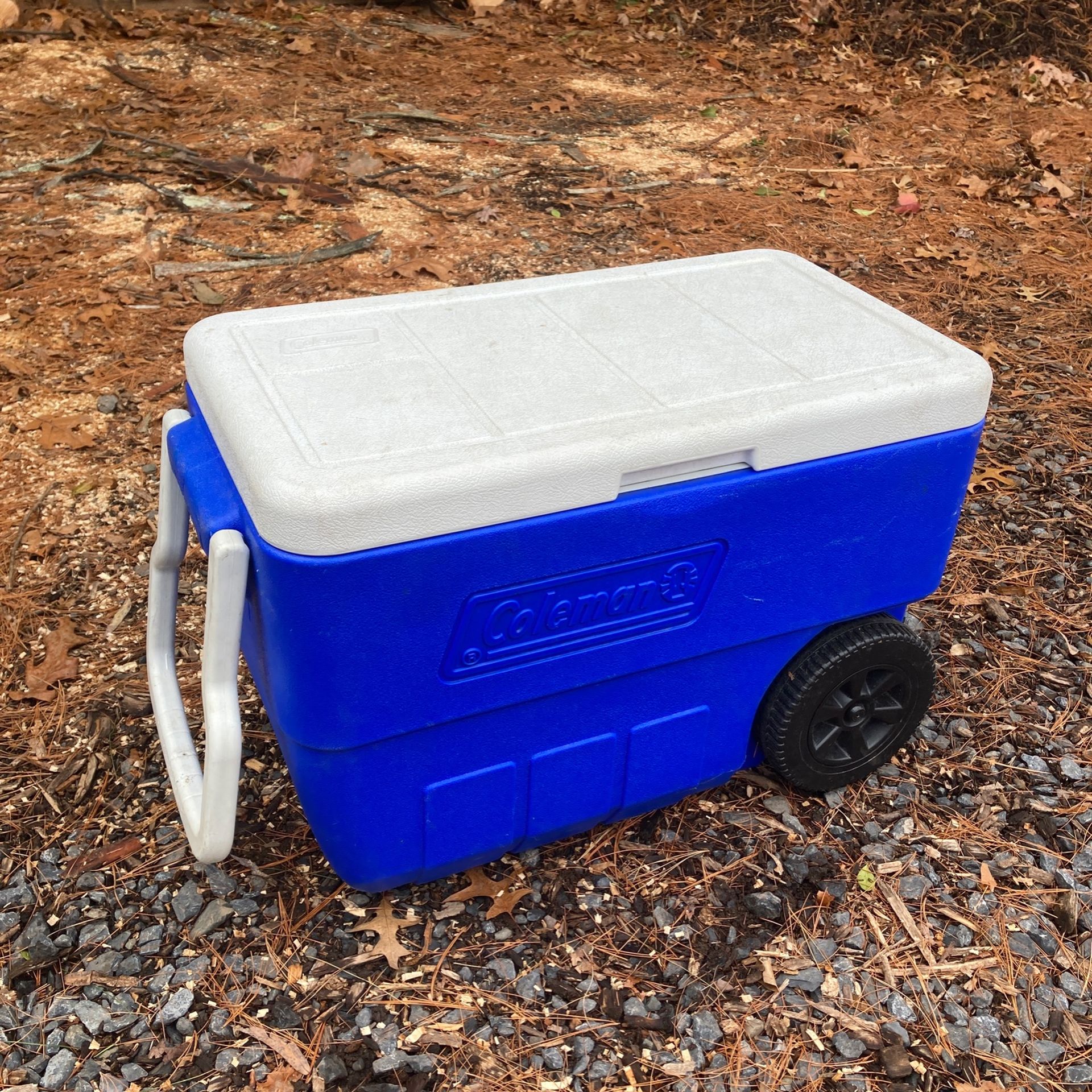 Coleman Cooler