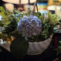 Pretty Floral Arrangements In White Vase