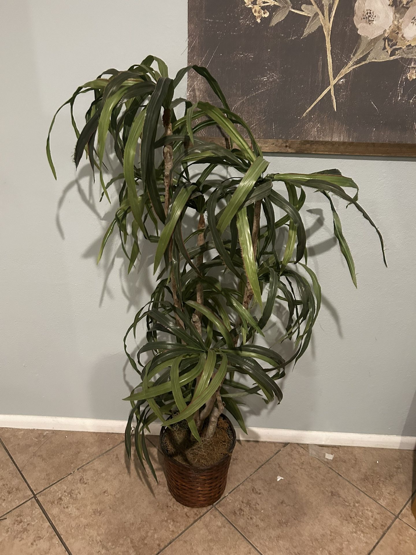 Faux 4ft Dracaena Tree