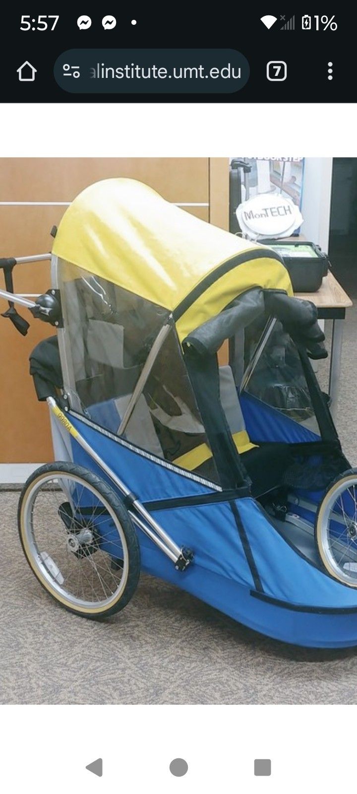 Wike Bike Trailer/Stroller