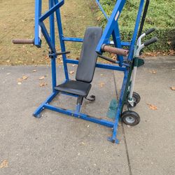 Hammer Strength Decline 