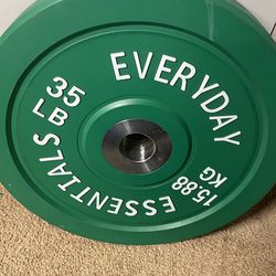Pair of 35lb bumper plates