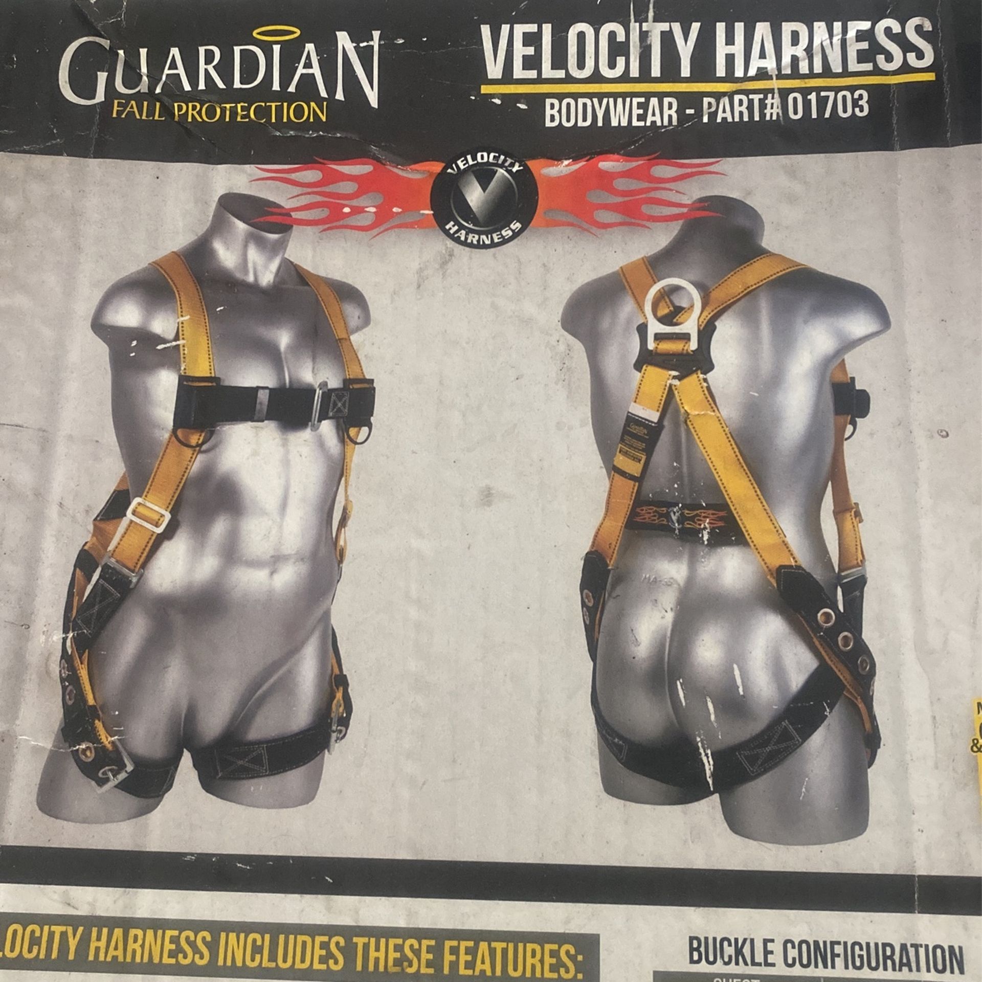 Safety Harness