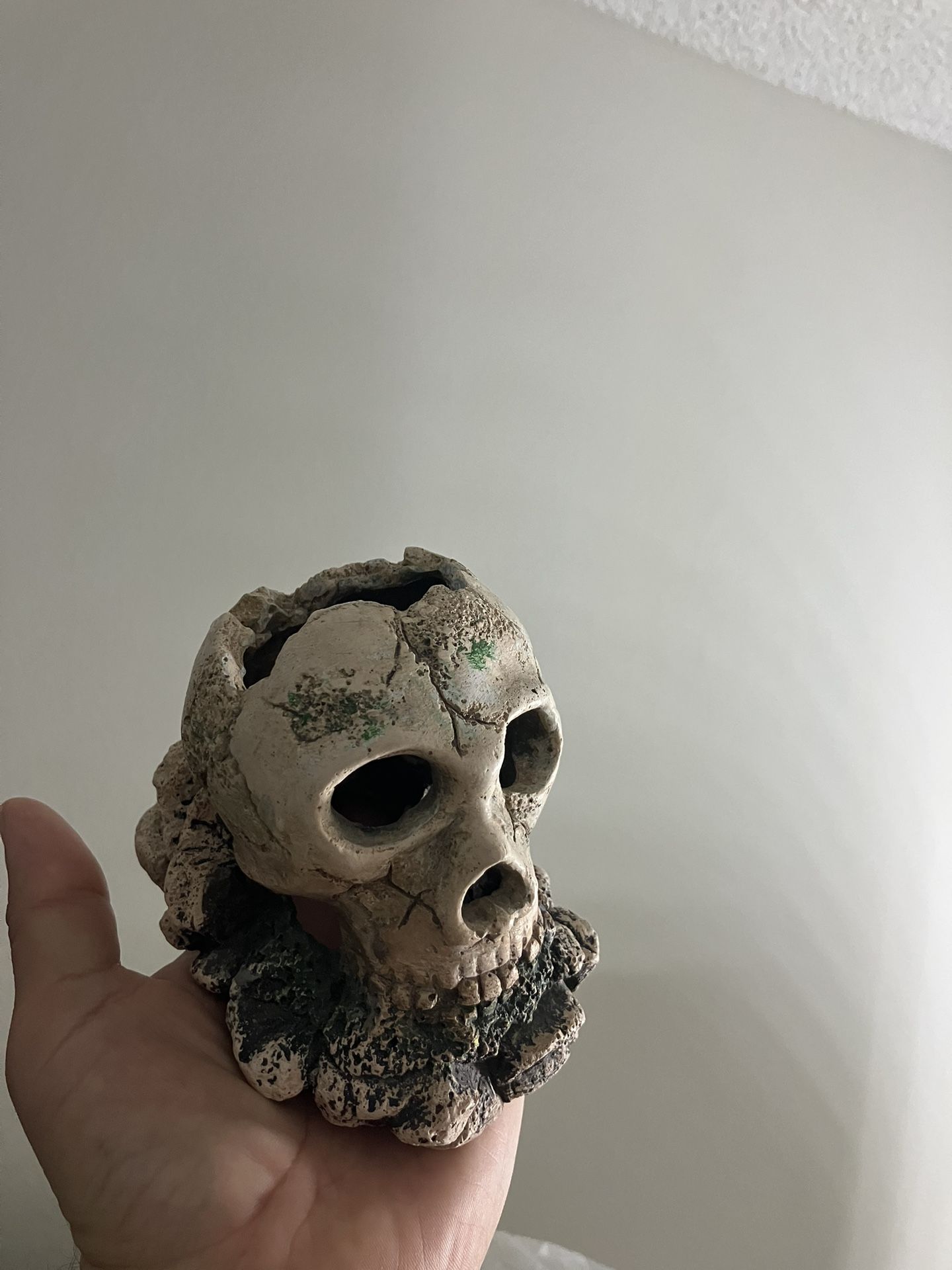 Fish Tank Decoration