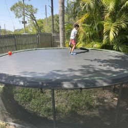 Trampoline 